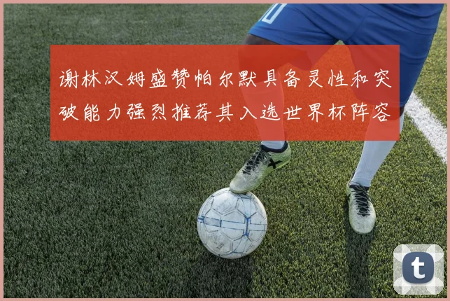 谢林汉姆盛赞帕尔默具备灵性和突破能力强烈推荐其入选世界杯阵容